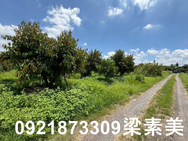 台南農地-0