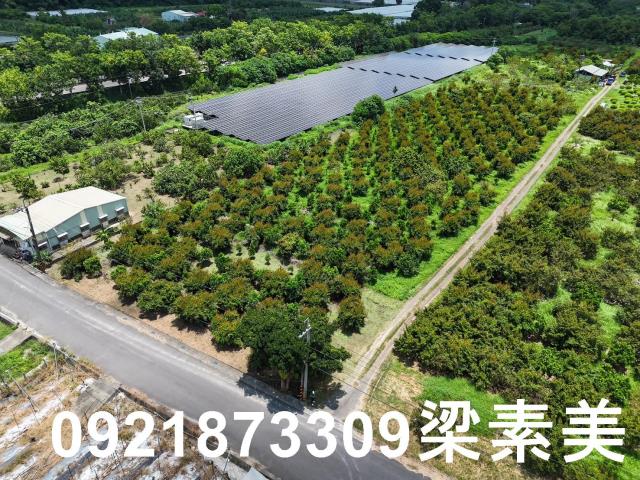 台南農地-5