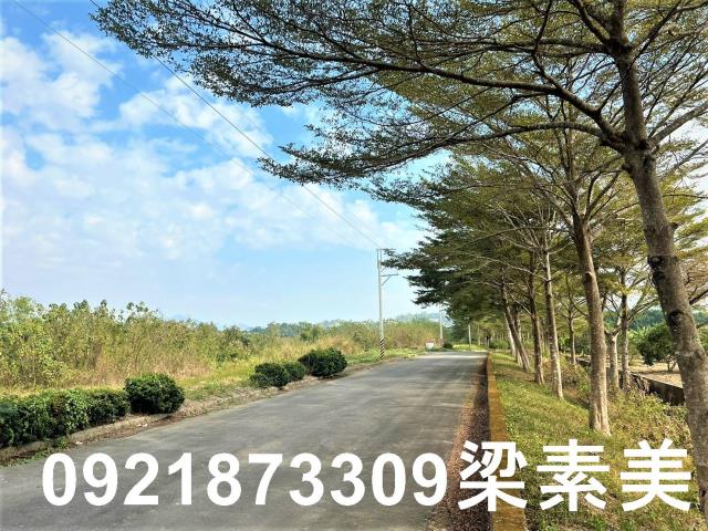 台南農地-2
