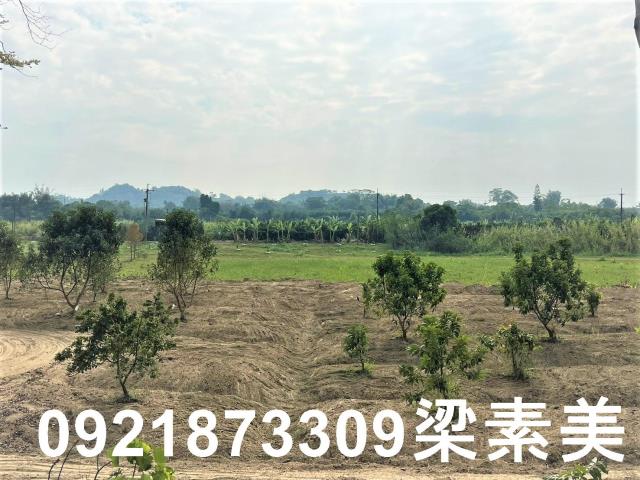 台南農地-3