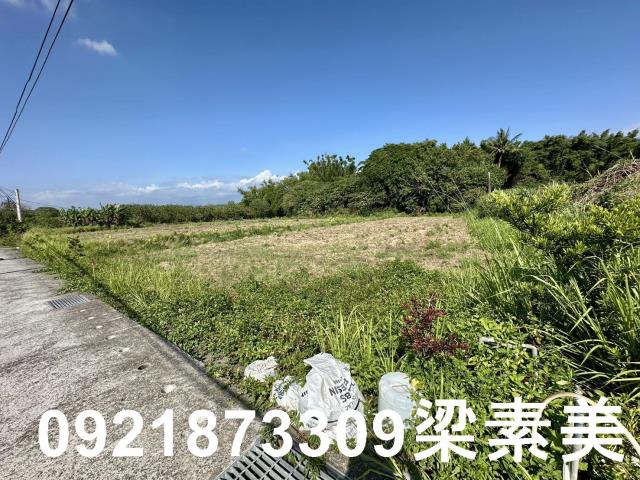 台南農地-2