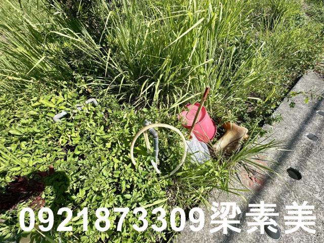 台南農地-3