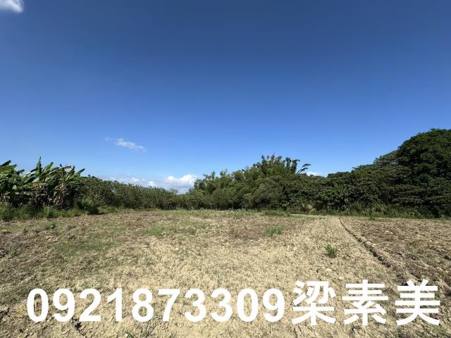 台南農地-4