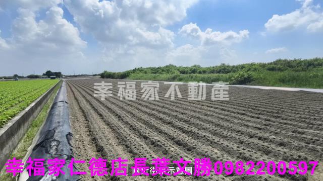 台南安南農地-5