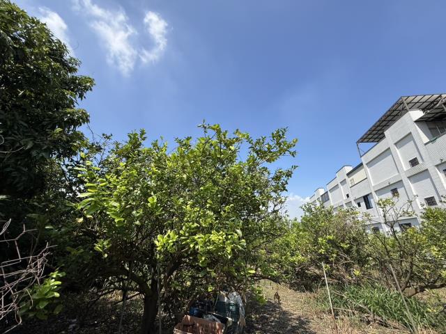 屏東九如建地-2