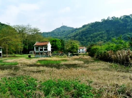 南投鹿谷農地-6