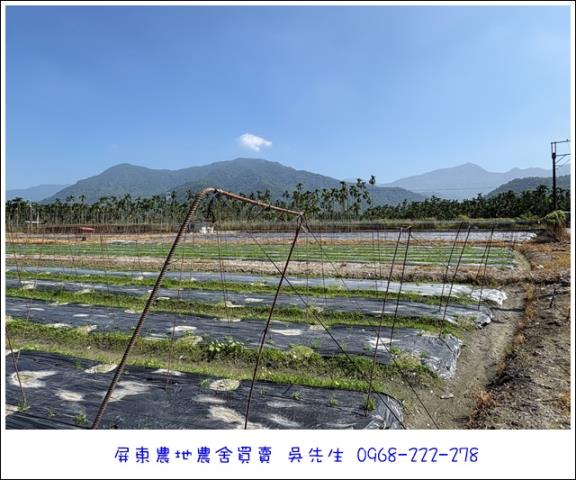 高樹農地-3
