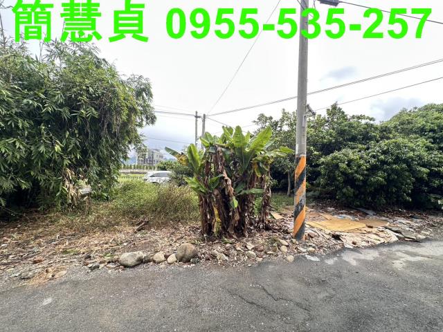 南投建地-4