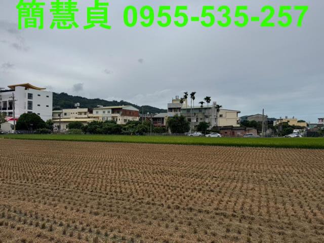 南投建地-6