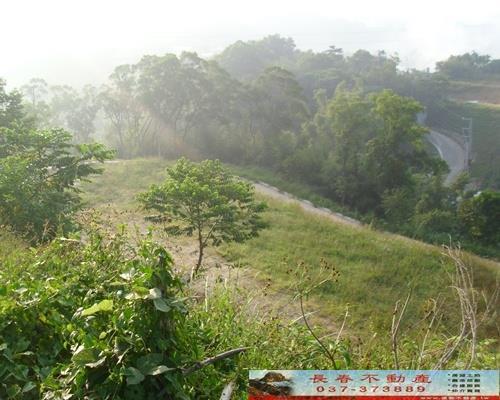 苗栗農地-1