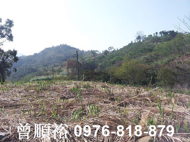 新竹尖石農地-1