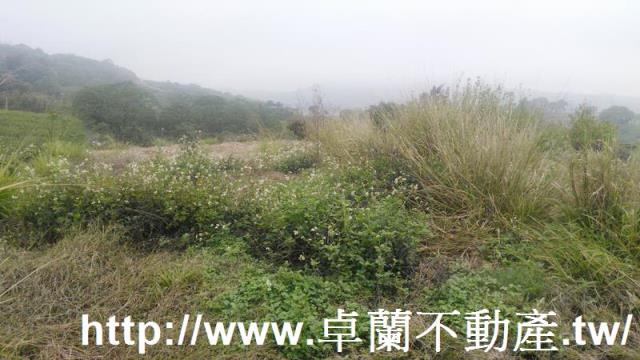 苗栗農地-4