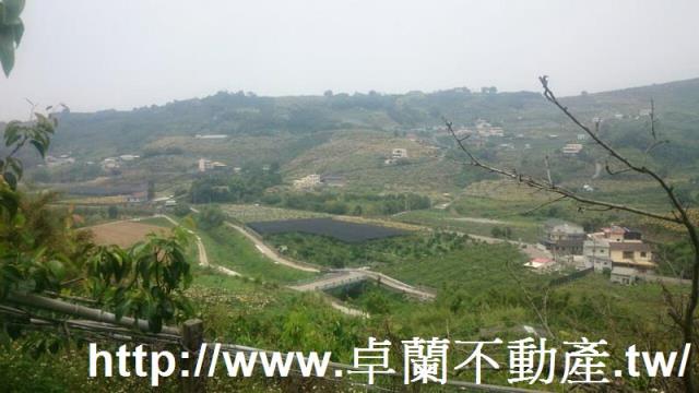 卓蘭農地-3