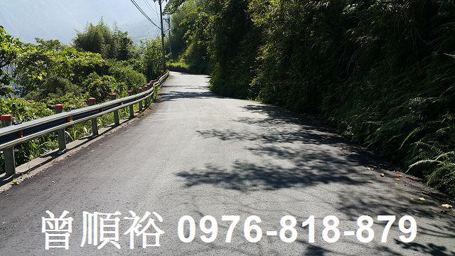尖石林地-2