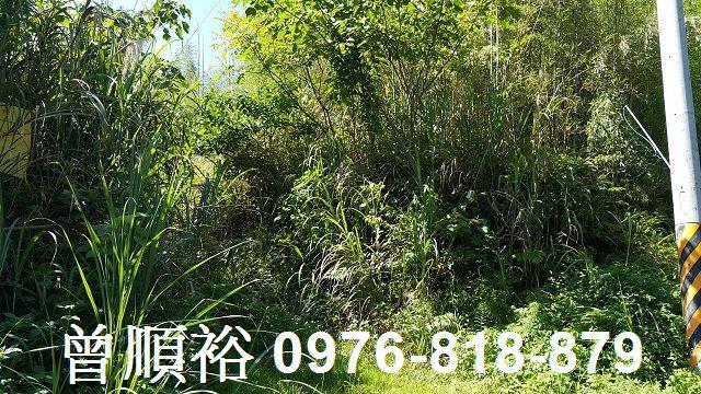 尖石林地-5