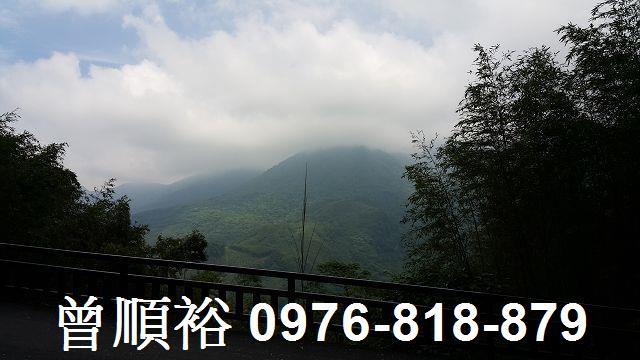 尖石林地-1