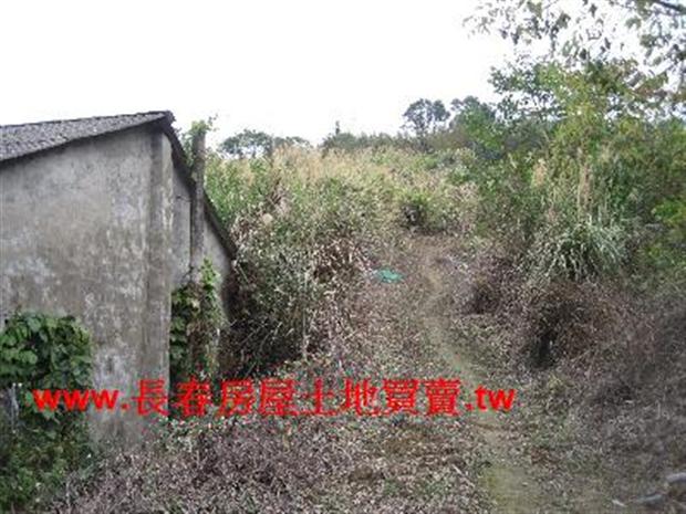 大湖農地-1
