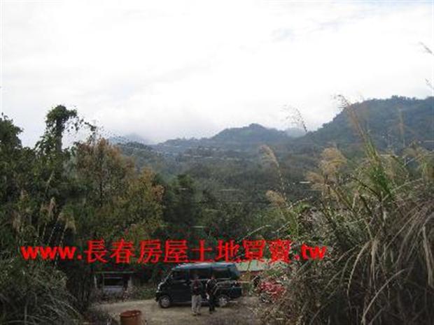 大湖農地-3